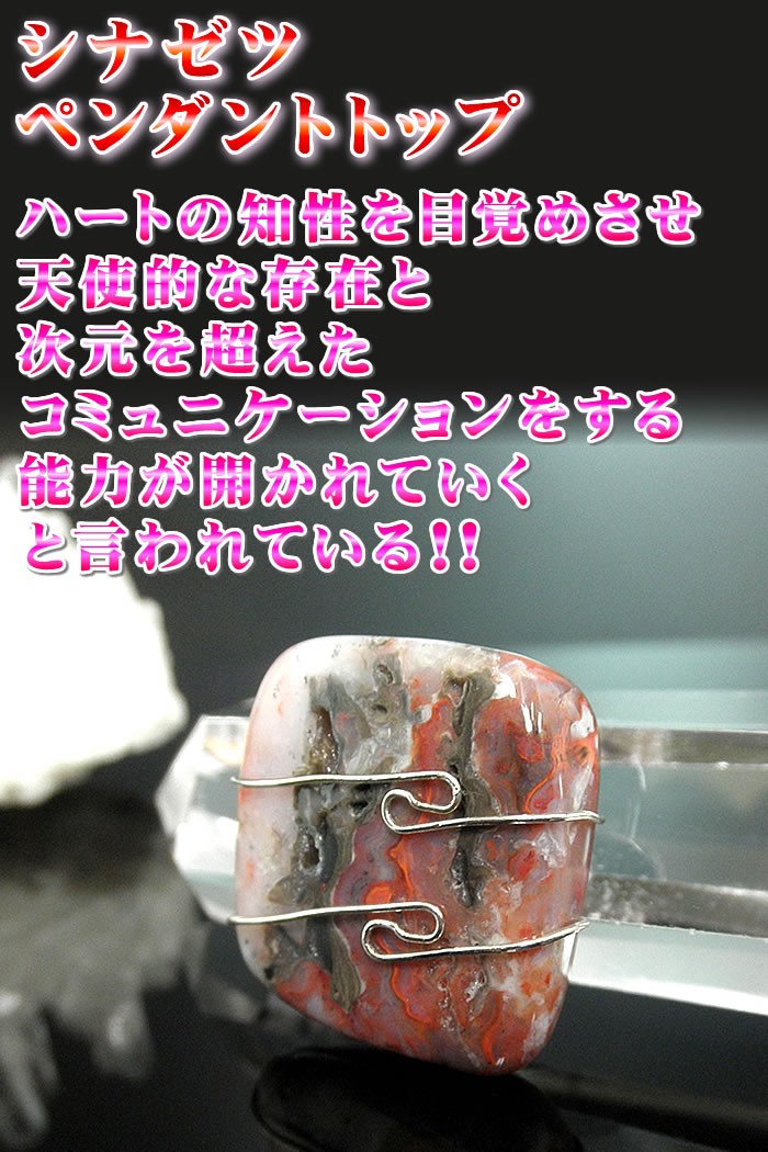 シナゼツペンダントトップ