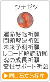 シナゼツ