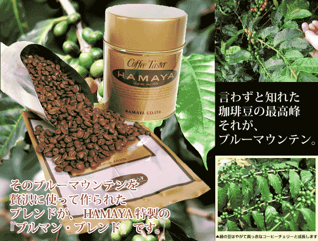 ブルーマウンテン ブレンド マイルドテイスト 50g インスタント