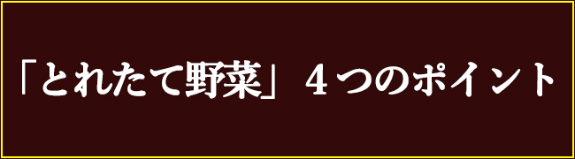 とれたて野菜 ８種類セット 詰め合わせ 高知産 レシピ・追加機能付き 送料無料 新鮮 お取り寄せ 地元産 たまご 木綿豆腐 ギフト お土産 産地直送 産直 詰め合 |  | 09