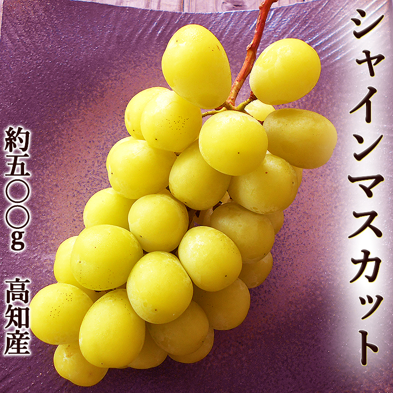 VC}XJbg 500g  ƒp mY 40ق ʕ t[c  Ԃǂ uhE ȂԂǂ Yn [500g Ȃ