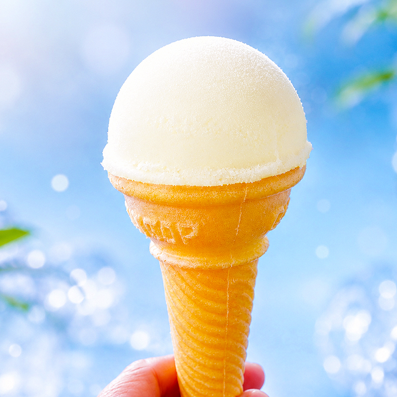 アイスクリン 業務用 4リットル 高知産 氷菓 アイスクリーム 高知の