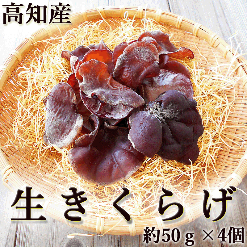 生きくらげ 生木耳 高知産 約50g×４個セット 菌床栽培 国産 キクラゲ