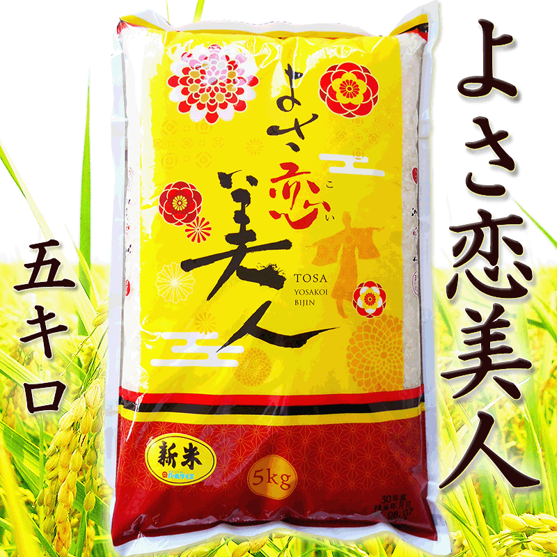 新米 令和6年 5kg よさ恋美人 高知県産 令和6年産 約5kg 高育76号 粘りと甘みがあり美しい粒 精米 お米 こめ 白米 ご飯 ごはん  おにぎり : rice-yosa01 : 旨い果物・魚のアグリファーム高知 - 通販 - Yahoo!ショッピング