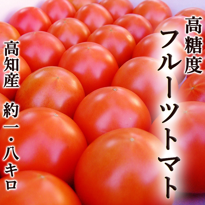 トマト 高糖度フルーツトマト 約1.8kg 高知県夜須町産 ご家庭用 送料