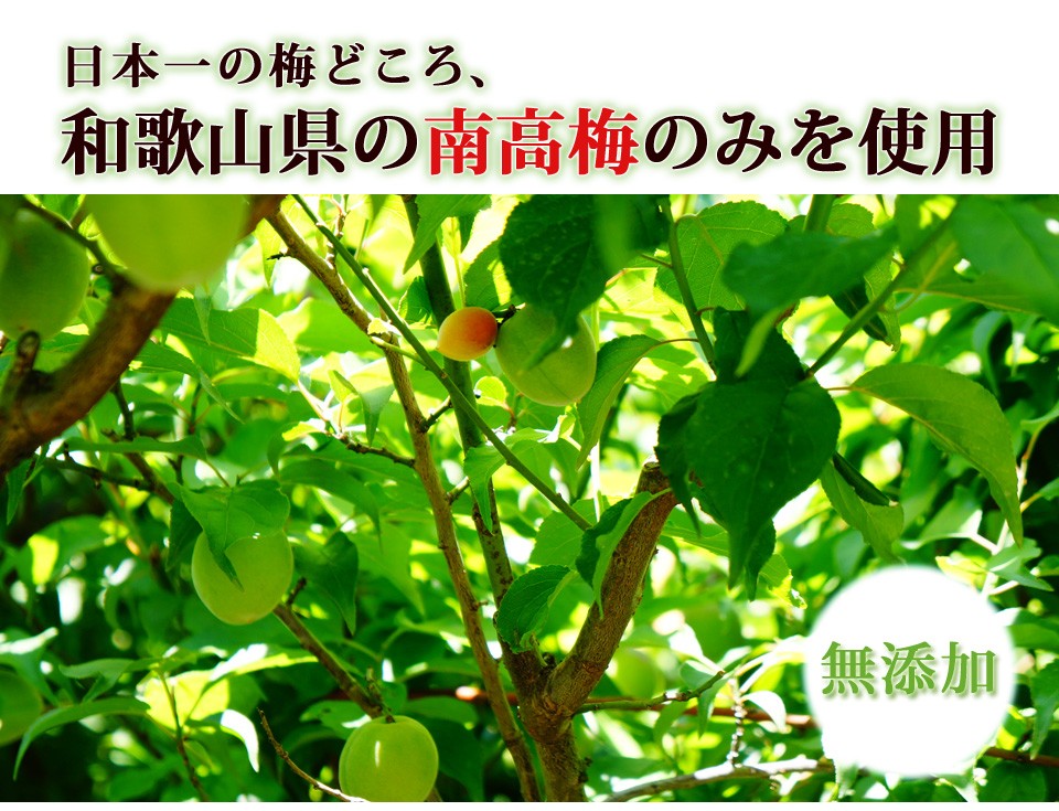 気質アップ 梅肉エキス 梅 粒 元気ノ国 サプリメント 日本一すっぱい 世界一 465粒 大容量