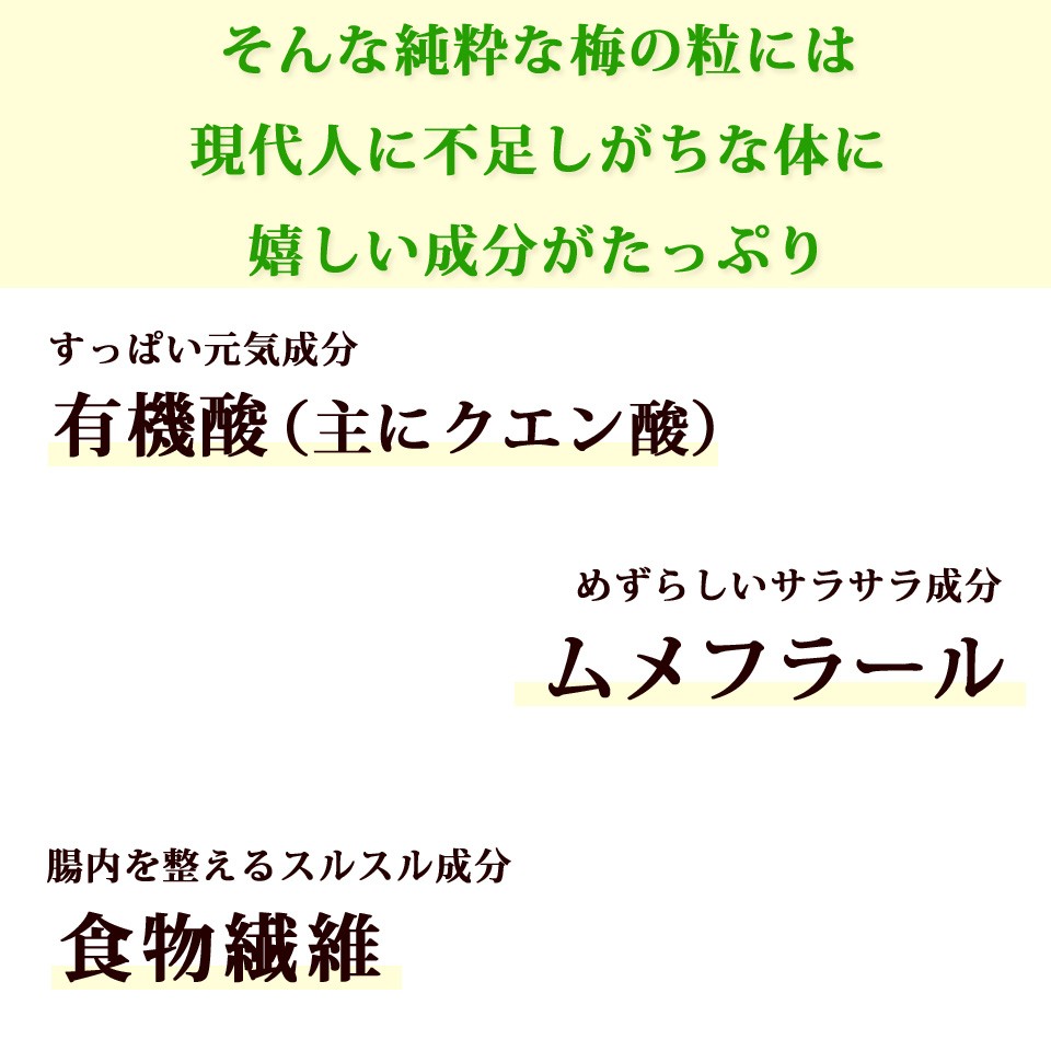 梅肉エキス 梅 粒 元気ノ国 サプリメント 日本一すっぱい 世界一