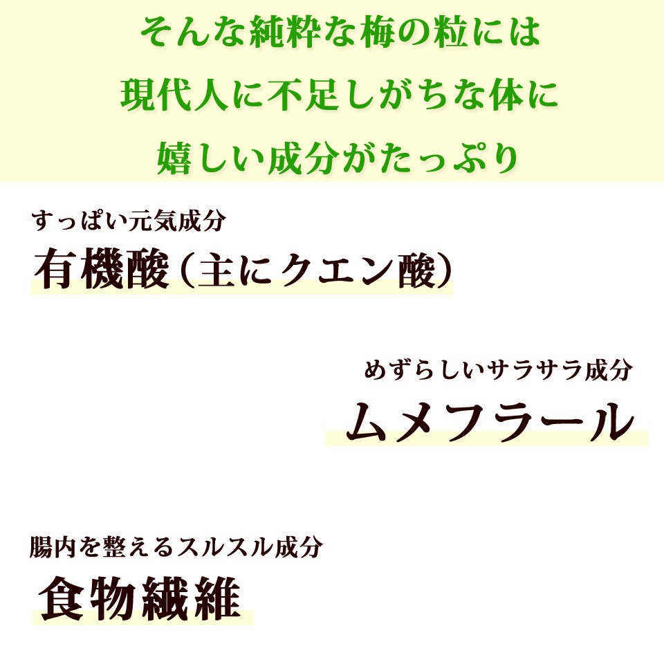 気質アップ 梅肉エキス 梅 粒 元気ノ国 サプリメント 日本一すっぱい 世界一 465粒 大容量