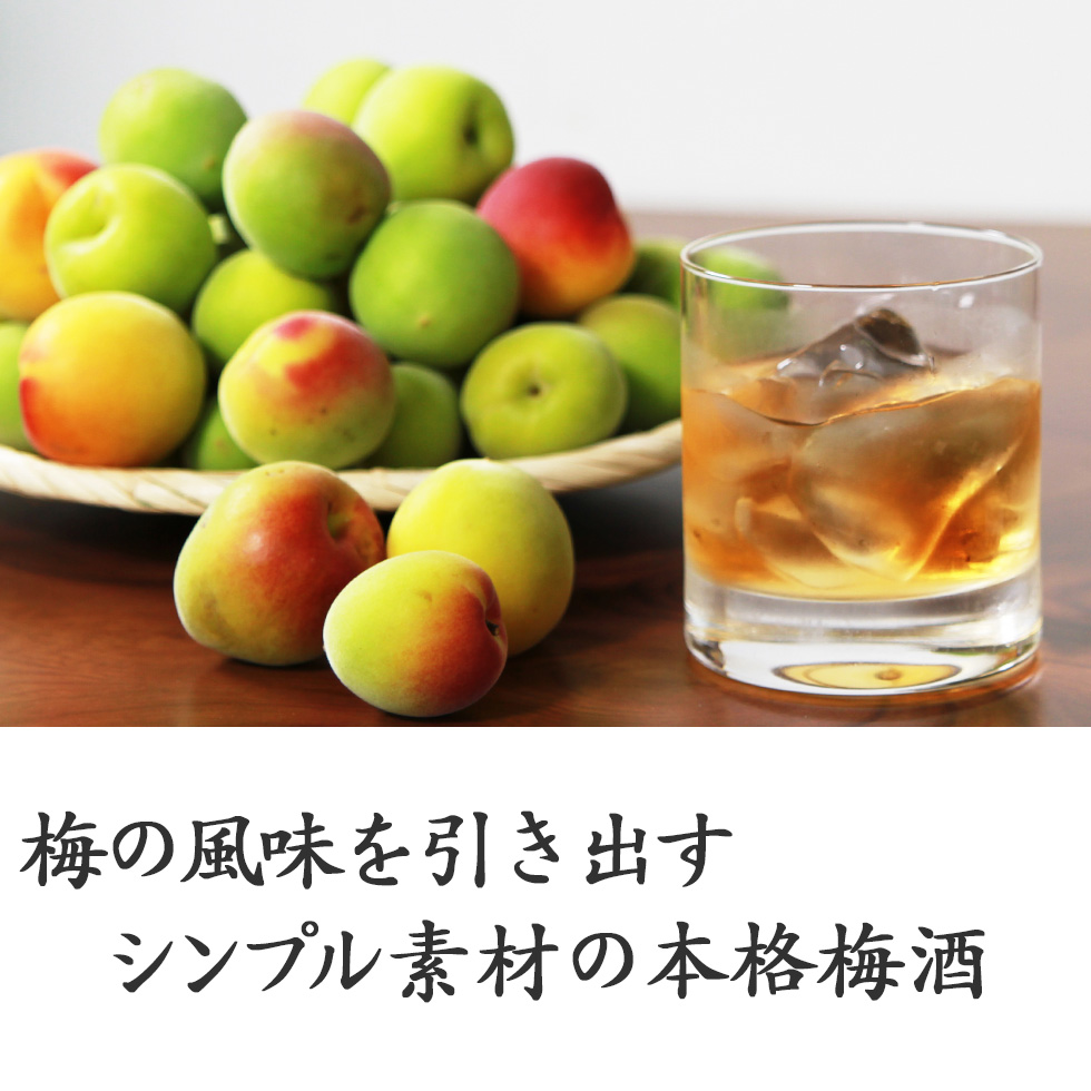 梅酒 梅酒ヌーボー 2023 原酒 本格梅酒 和歌山｜chokyuan｜08