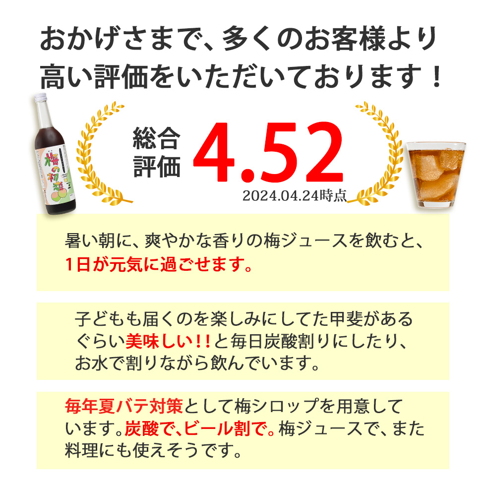 梅シロップ 梅ジュース 梅肉エキス 梅 濃縮 かき氷 : hatsukoi720 