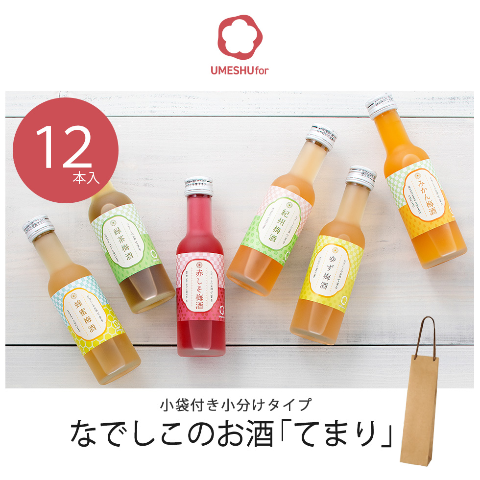 中野BC 梅酒 蜂蜜梅酒 なでしこのお酒てまり お酒 ギフト 送料無料