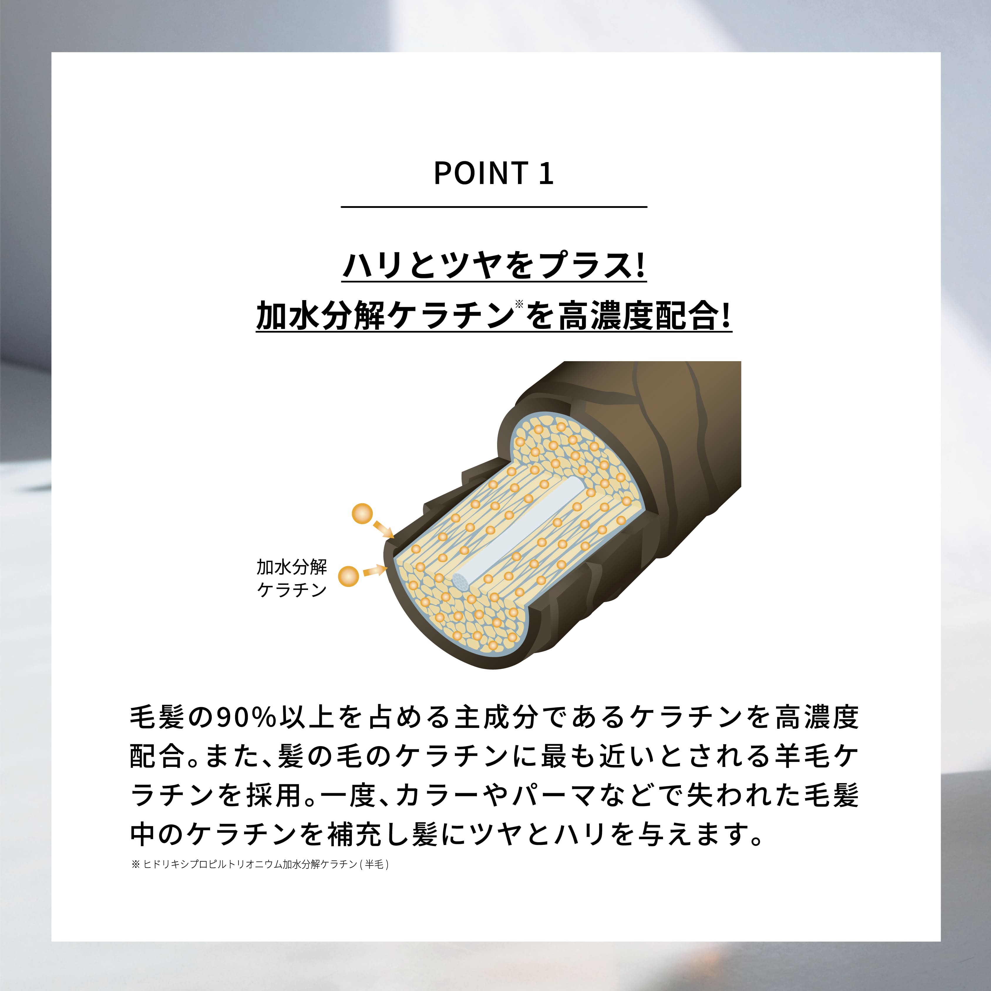 エマコッカーナトリートメントプラス