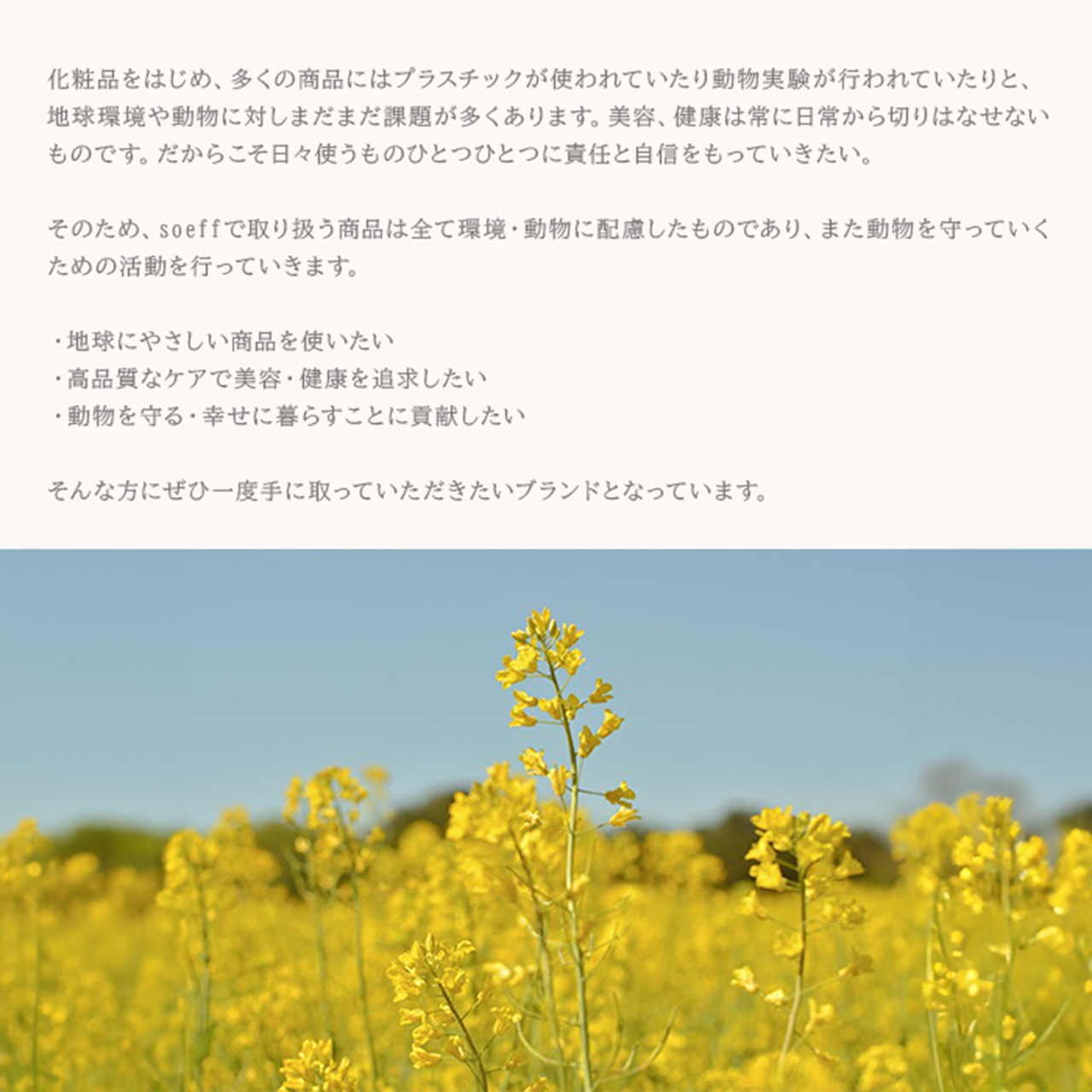 soeff | ソフ For オーセンティック オイル 120ml マルチオイル soeff | ソフ For オーセンティック オイル 120ml マルチオイル