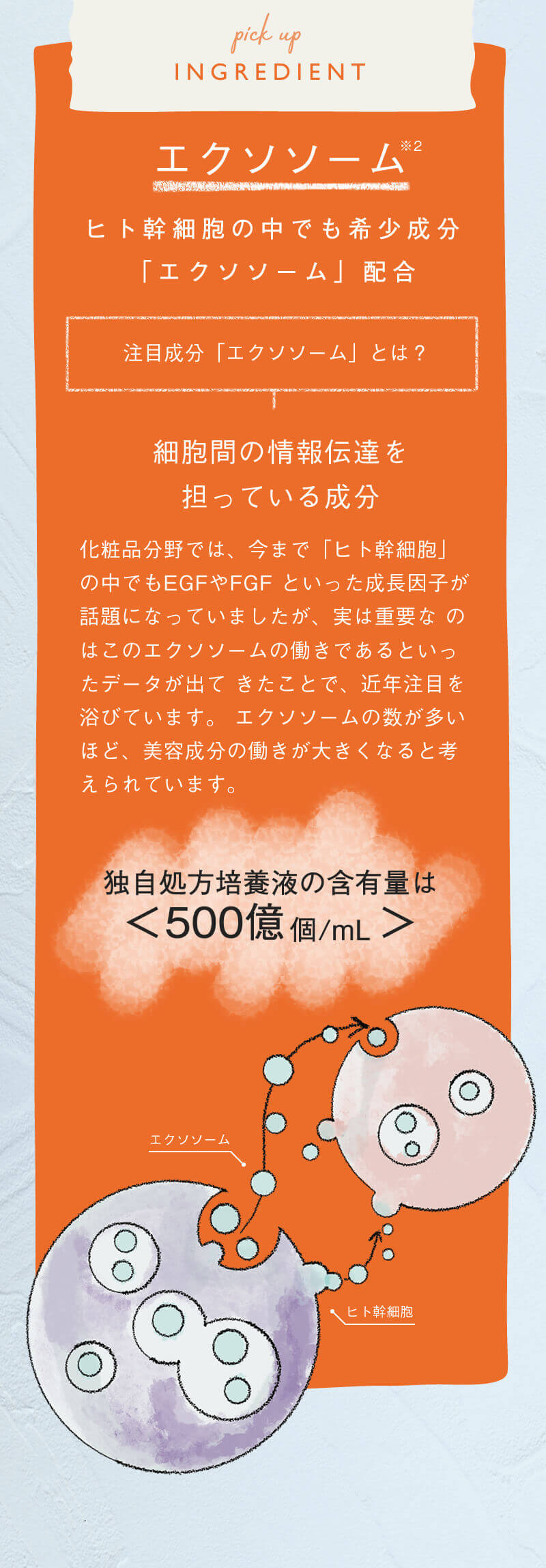 最大3900円OFF/正規公認/送料無料】ラッシュオーセント まつ毛美容液