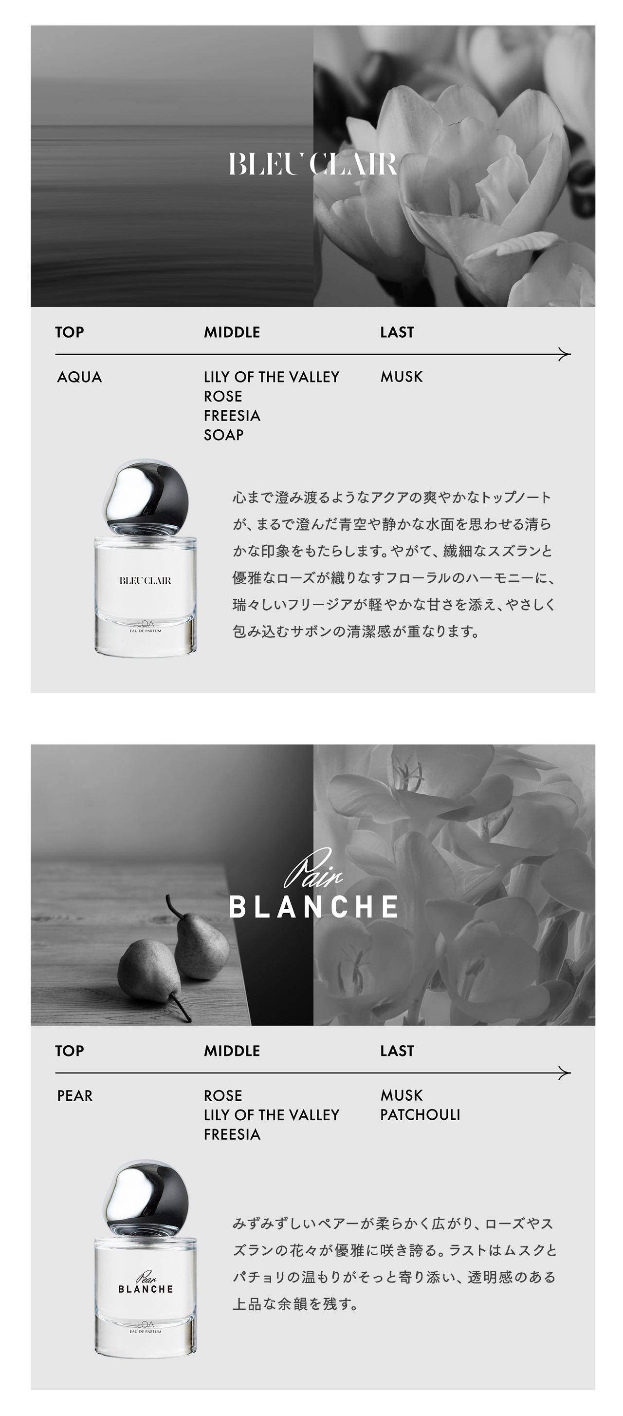 ロア オードパルファム 30mL ブランシュ ジャスミンドレ シトラス