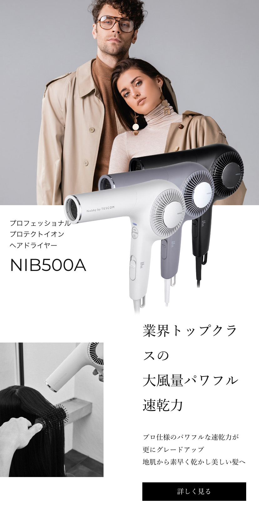 ノビーバイテスコム プロテクトイオン ヘアドライヤー NIB500A