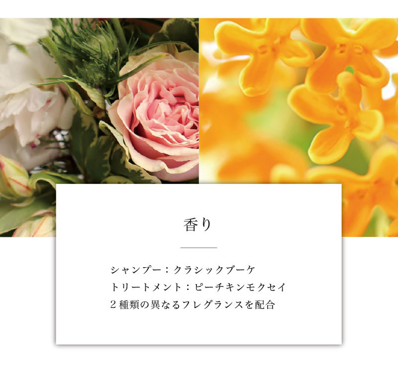 プロミルシャンプー(200mL)｜‰（Promille） プロミル : CHOUCHOU Yahoo
