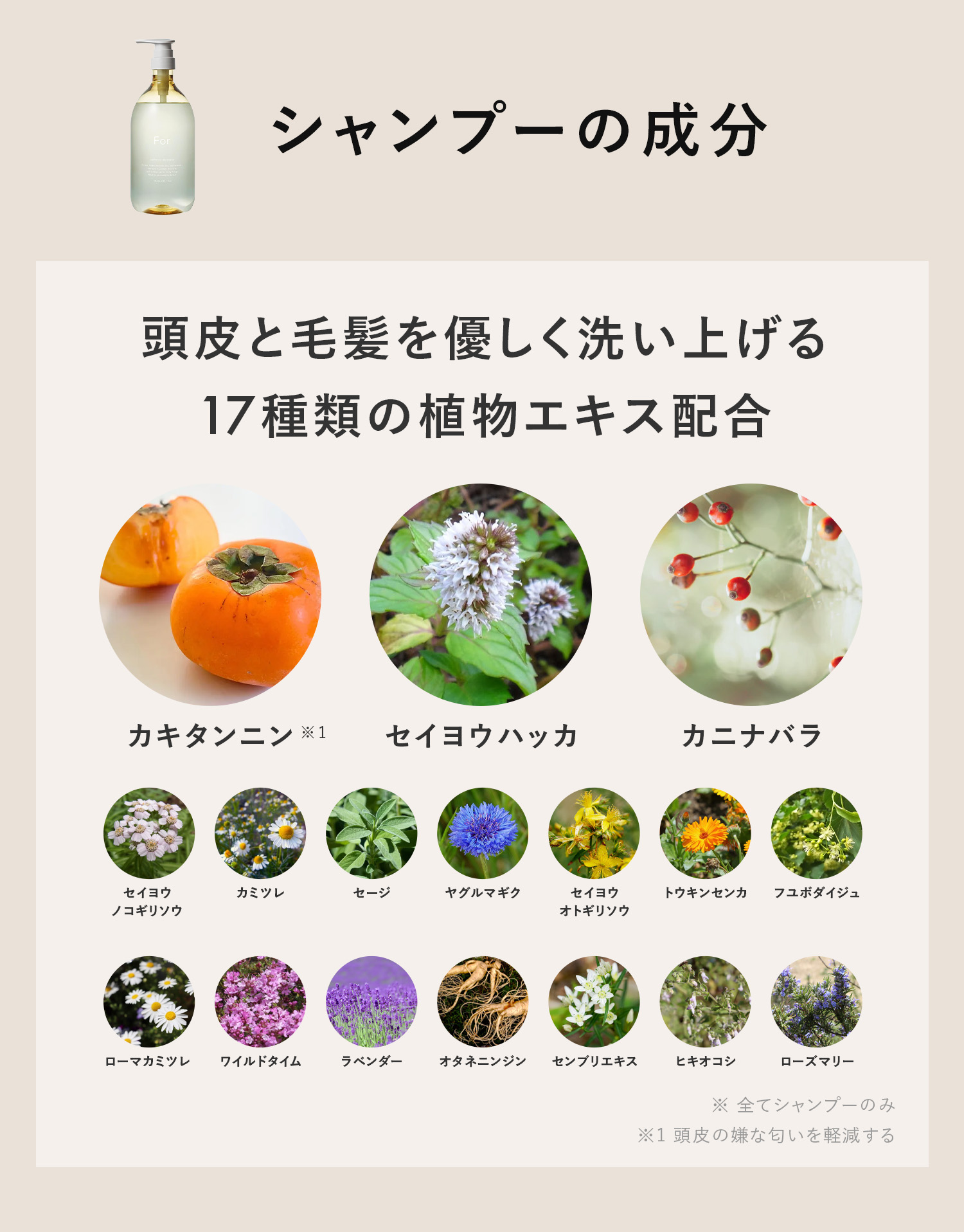soeff ソフ For オーセンティック シャンプー トリートメント セット