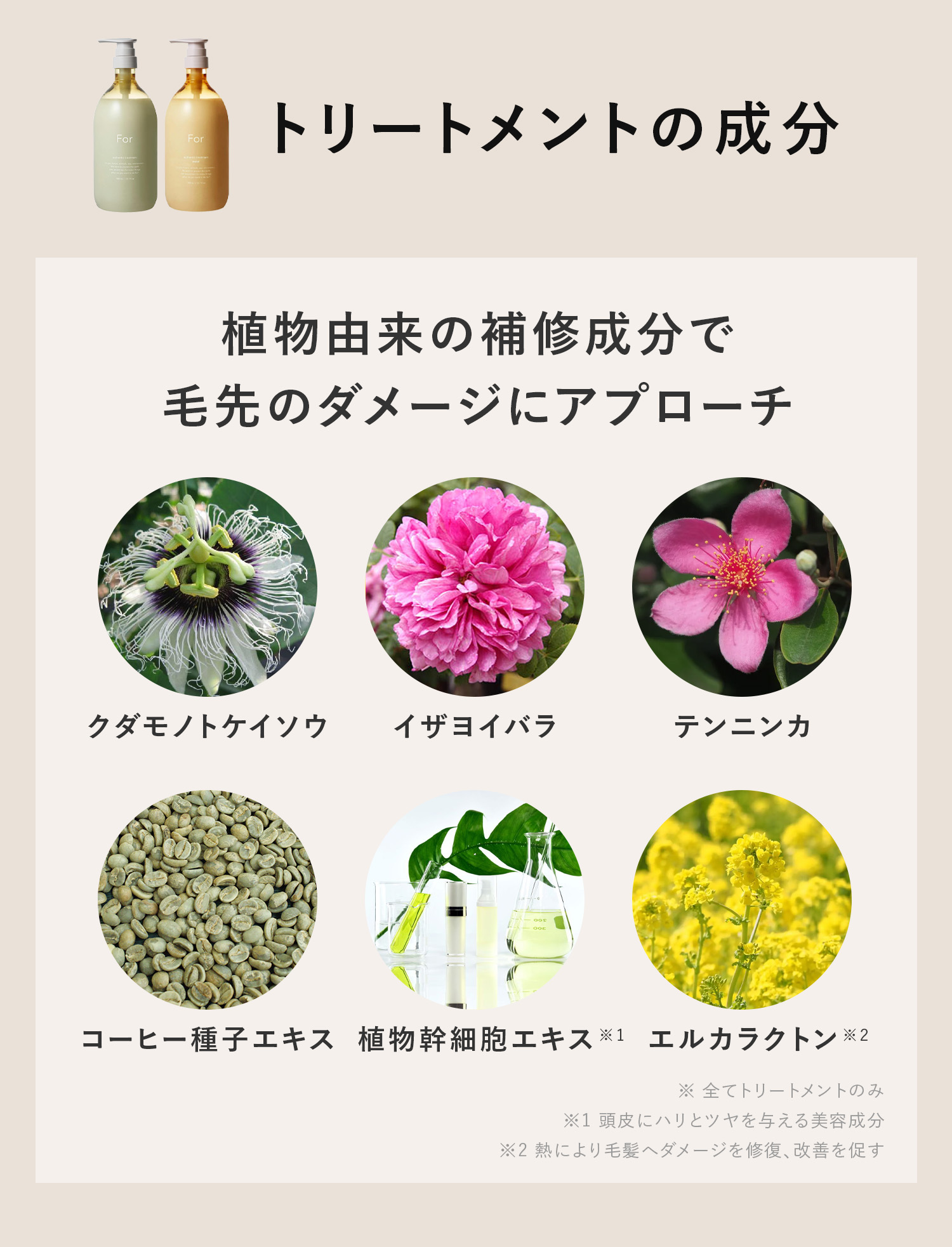 soeff ソフ For オーセンティック シャンプー トリートメント セット