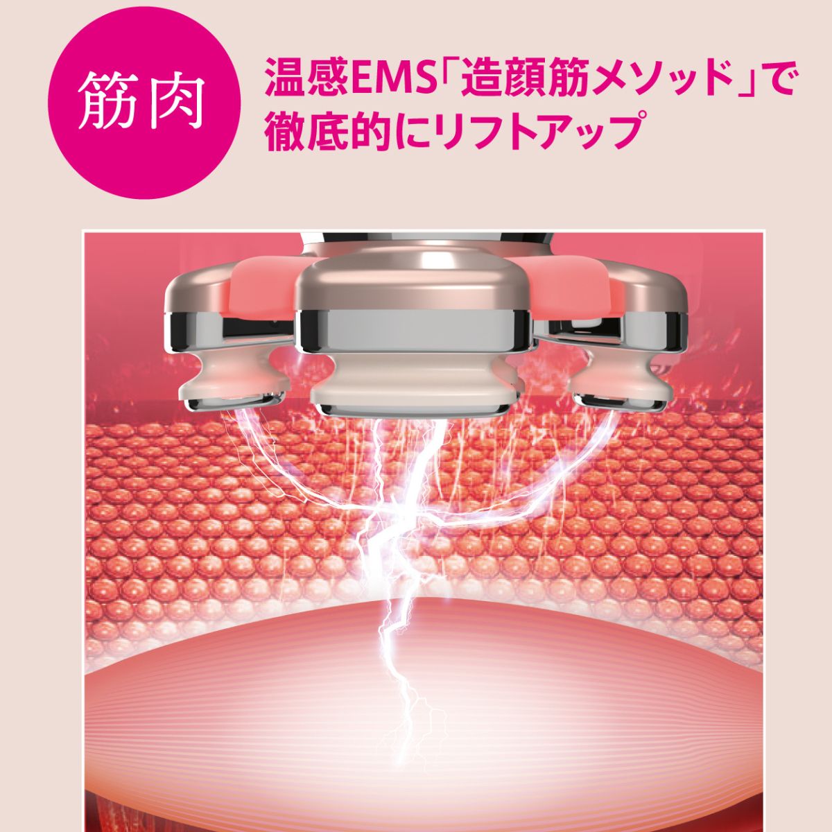 新品　CL-OK-ZKBM　ZOGANKIN BLOOM　ゾーガンキンブルーム 正規品販売店・送料無料】ゾーガンキン ブルーム CL-OK-ZKBM｜ZOGANKIN