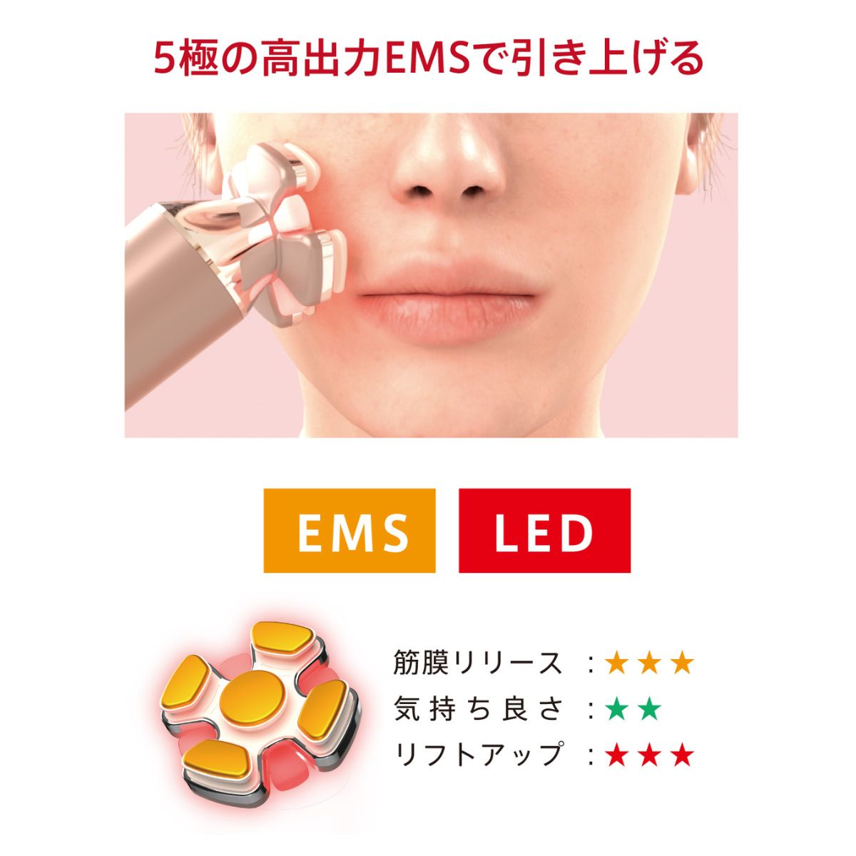 正規品販売店・送料無料】ゾーガンキン ブルーム CL-OK-ZKBM｜ZOGANKIN