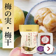 チョーヤ梅酒 チョーヤ 本格梅酒 限定熟成梅酒 720ml 御中元 御歳暮