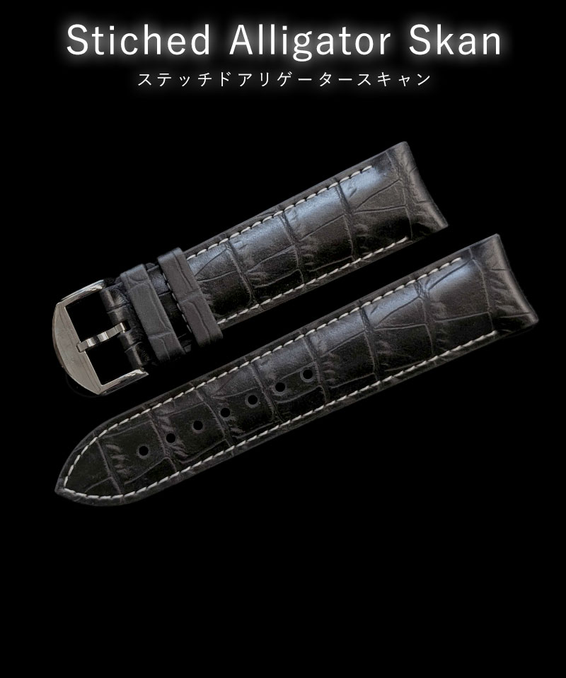 スイス製 時計ベルト バンド 腕時計バンド BIWI ビウィ Alligator Skan