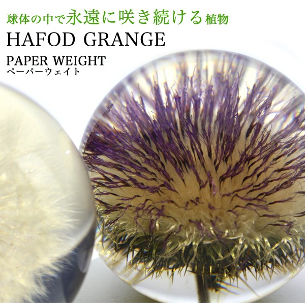 Hafod Grange ハフォドグレンジ PAPER WEIGHT ペーパーウェイト