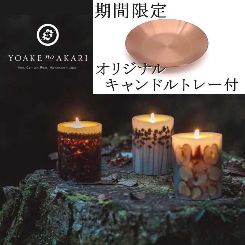 期間限定！オリジナルトレー付】ボタニカル キャンドル【香り無し