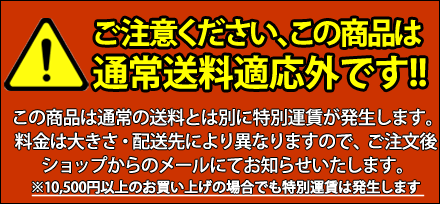 まな板 業務用 プラスチック PC はがせるまな板 C-45 1000×450×H50mm