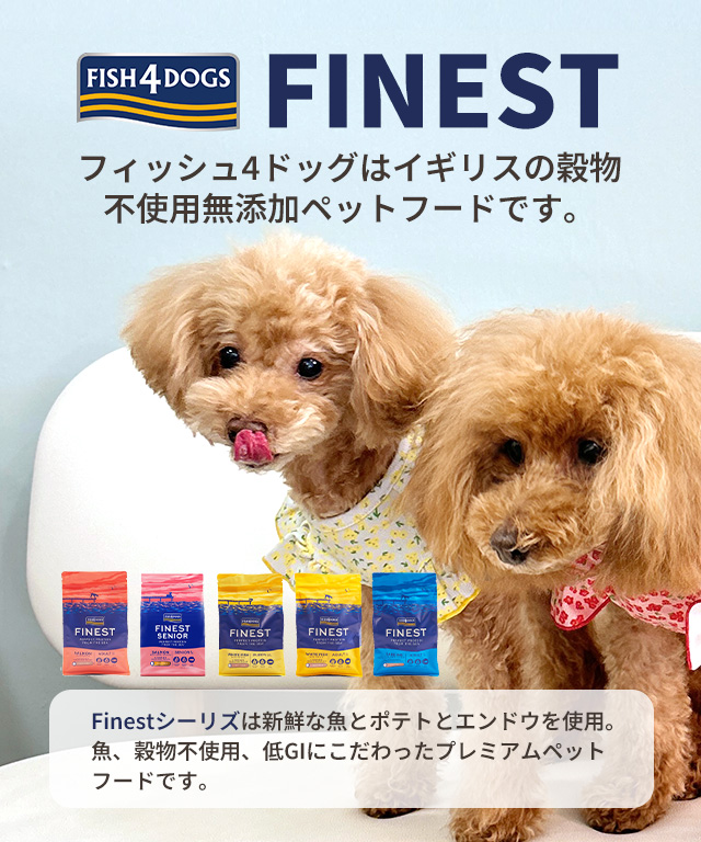 楽天市場】お刺身用サーモン 800gの通販