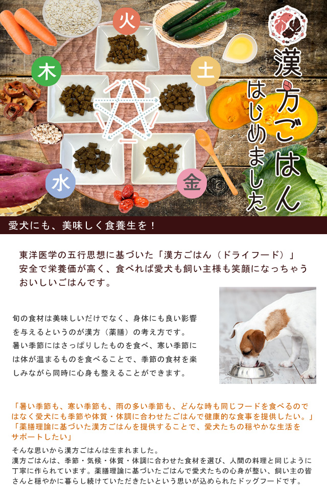 絶対一番安い 漢方ごはん ドライタイプ 金 馬肉 200g 犬用ごはん ドッグフード ペット用品 dobrenocki.pl