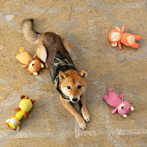 FAD サファリ プラッシュトイ S ドッグトイ 犬のおもちゃ ペット