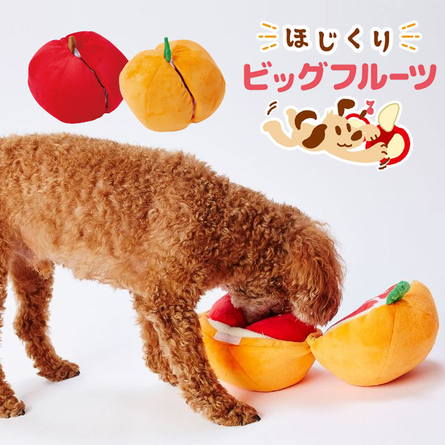 くり　もじゃ犬　うたたね　白オレンジ ptoy642_m01.jpg