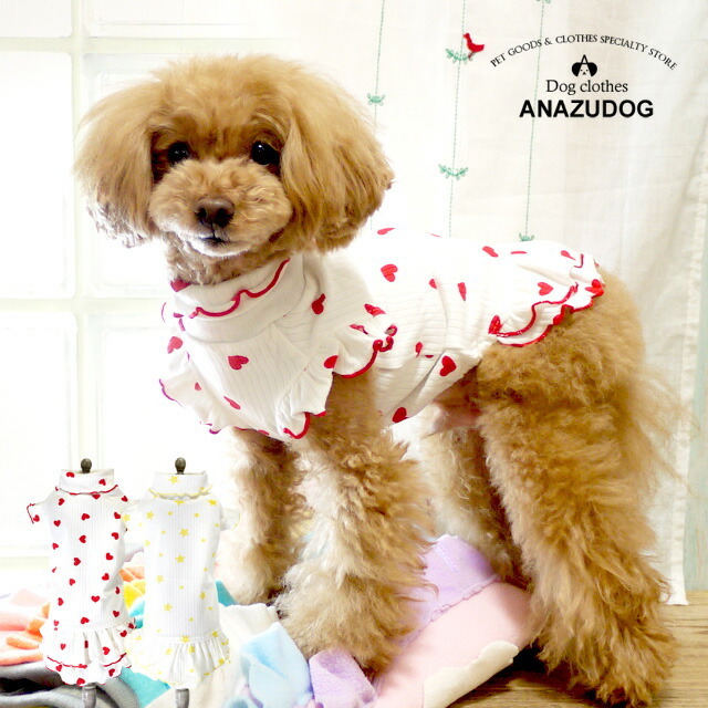 【オーダー】紅いちご×デニムフリルスカートのセットイントレーナー犬服 0_23e86d1cbbf0db79e7aebe1cd97c