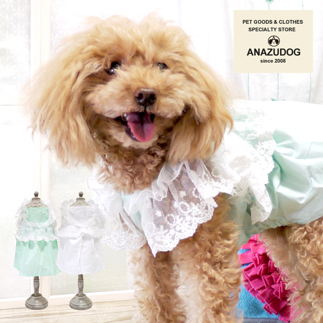 アトリエgg犬服 緑と白のストライプ フリル付き フリルレースワンピース ドッグウエア 小型犬 猫 犬服 かわいい ペット