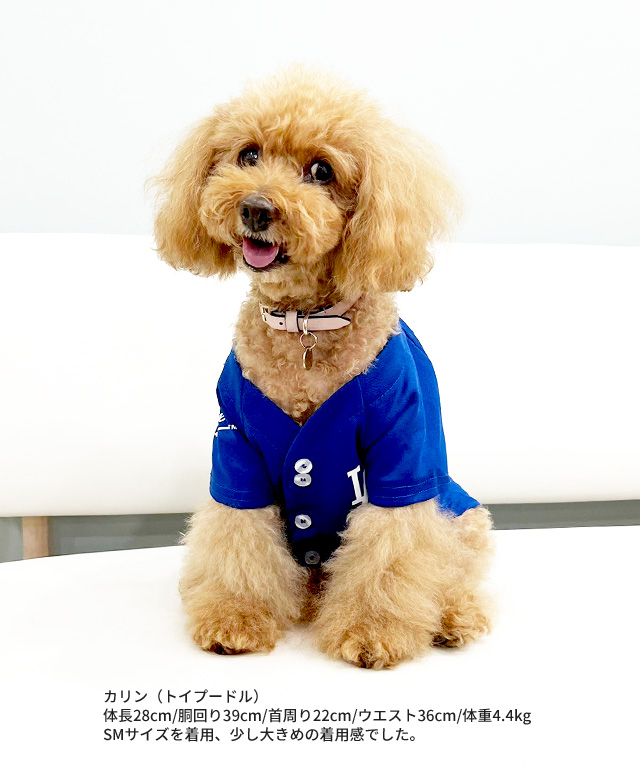 最終お値下げ　犬服　LUNA   BLUE   ワンピ　２着セット　サイズL du-098_main.jpg