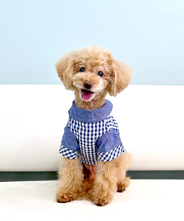 21◆チェックシャツ　PUERTO お洋服　犬 デニムチェックシャツ ドッグウェア 犬服 小型犬 ペット 春夏 ANZUDOG