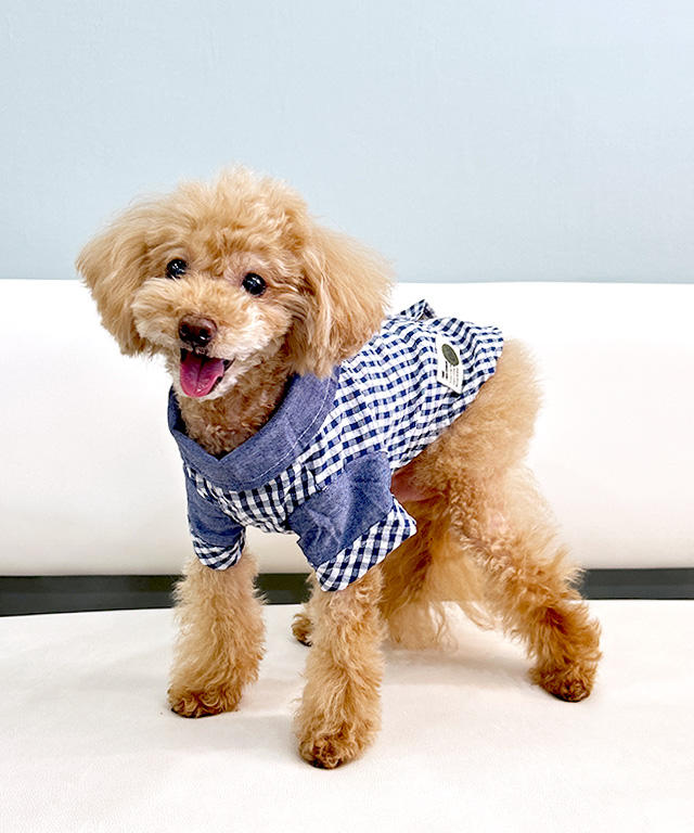 デニムチェックシャツ ドッグウェア 犬服 小型犬 ペット 春夏