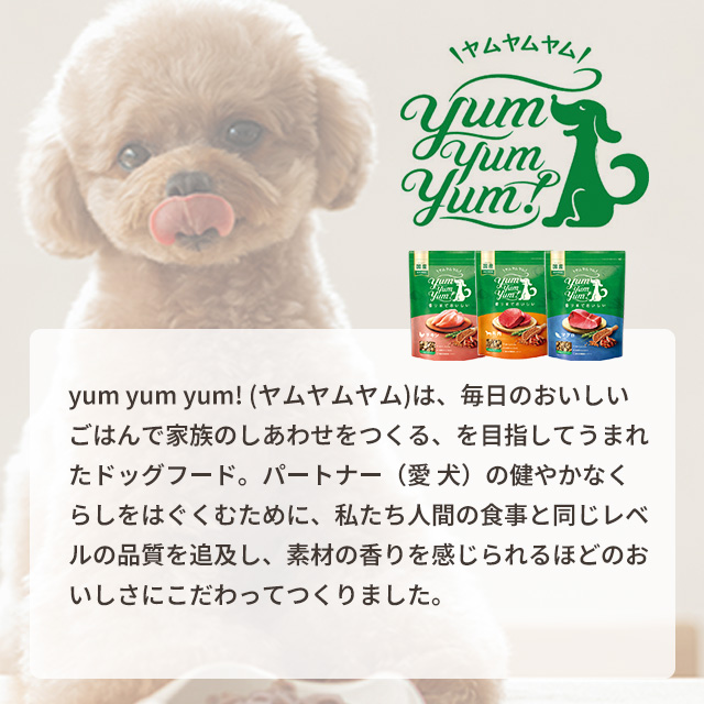 [専用出品]Yum yum yum！(ヤムヤムヤム) チキン やわらかドライタイプ ちょこっと