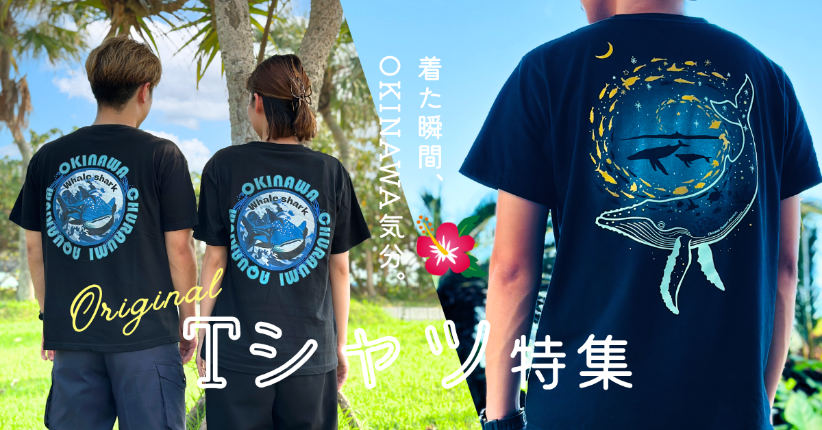沖縄美ら海水族館 公式ショップ - Yahoo!ショッピング