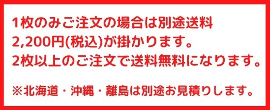 ユニット畳 畳 い草 ラグ 置き畳 滑り止め付き 82×82 お洒落 おしゃれ