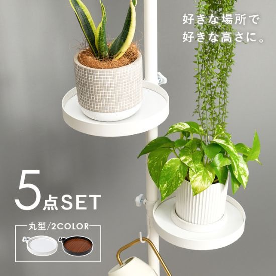 突っ張り プランタースタンド つっぱり ラック おしゃれ