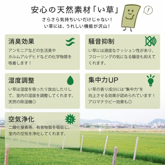 ユニット畳 畳 い草 ラグ 置き畳 滑り止め付き 82×82 お洒落 おしゃれ
