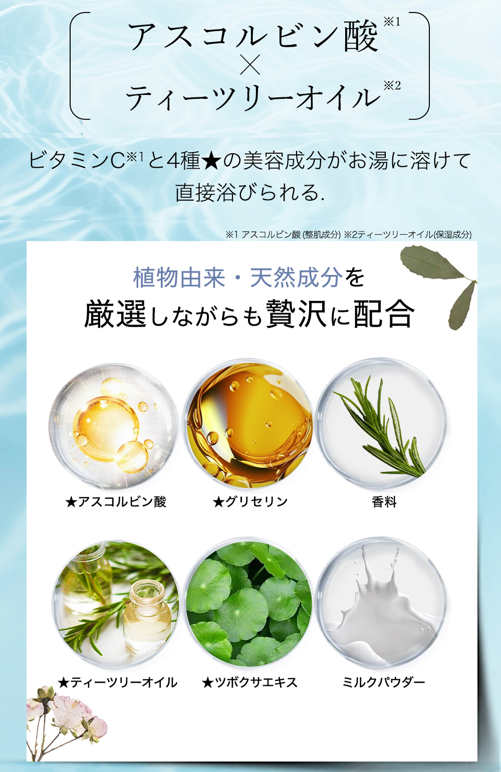 CICIBELLA 【公式】シャワーヘッド＆シャワーフィルター 正規品 韓国で