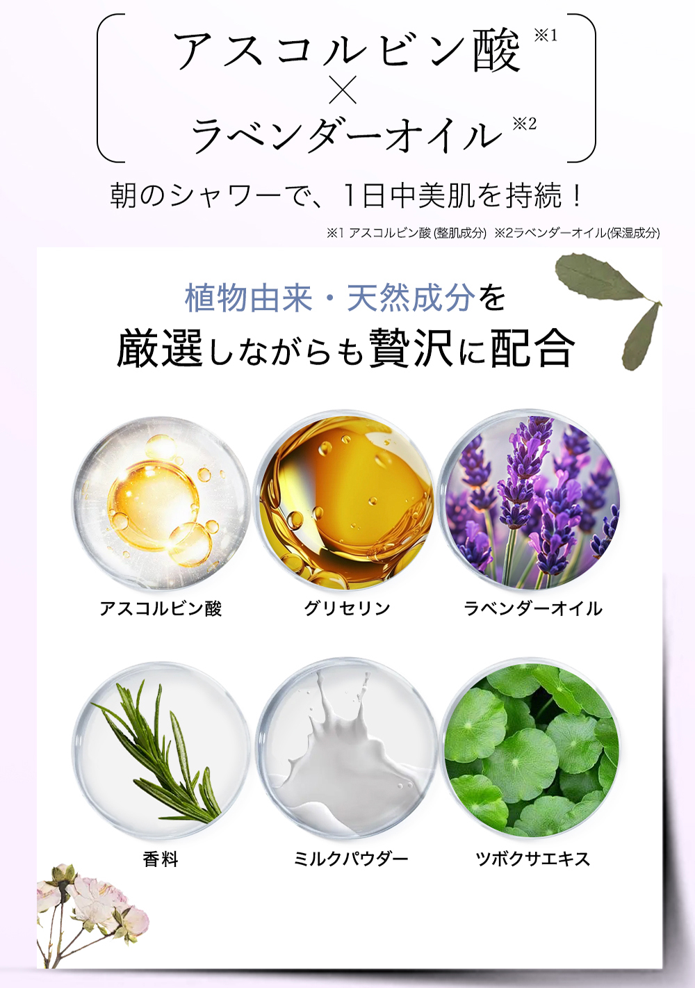 CICIBELLA 【公式】シャワーヘッド＆シャワーフィルター 正規品 韓国で
