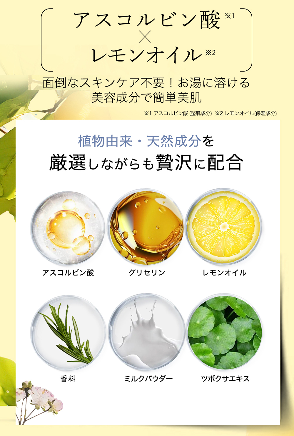 CICIBELLA 【公式】シャワーヘッド＆シャワーフィルター 正規品 韓国で