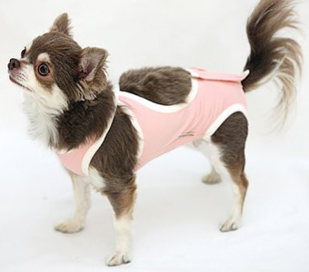 犬の術後服 術後ガードスーツ ドッグ ピンク 犬と生活 ドッグウェア