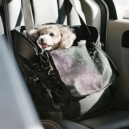 AIRBUGGY（エアバギー） フォードッグ 3WAY BACKPACK CARRIER UG