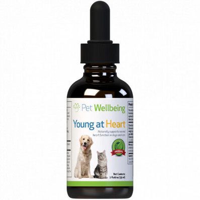 Pet Wellbeing 液体サプリメント Young at Heart 心臓 59ml : ドッグ 